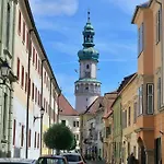 In The 2 Sopron